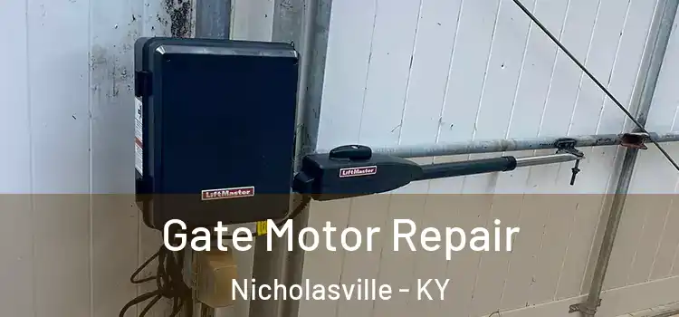  Gate Motor Repair Nicholasville - KY