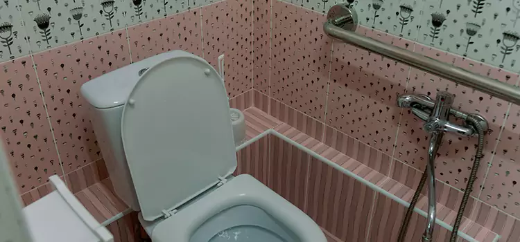 Meeting Diverse Needs With Accessible Restroom Solutions in Nicholasville, KY